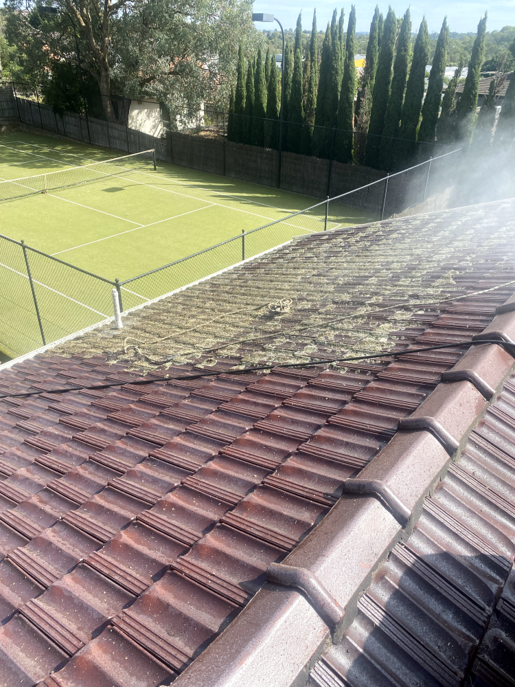 small business website design mockup for a roof cleaning business in melbourne showing their work